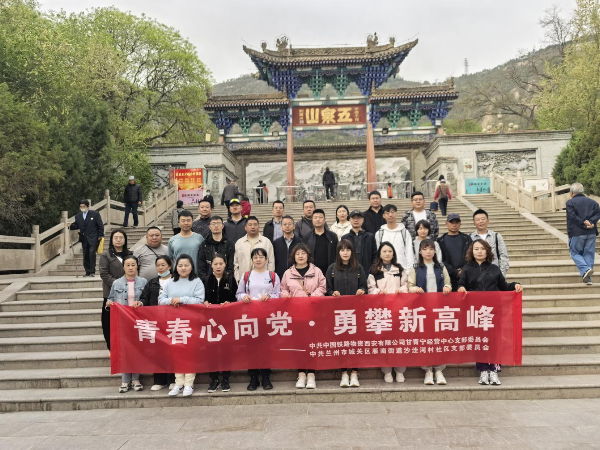 甘青宁经营中心党支部与沙洼河村党支部联合开展 “青春心向党 · 勇攀新高峰” 主题党日活动