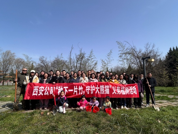 西安公司开展“种下一片竹,守护大熊猫” 主题义务植树活动