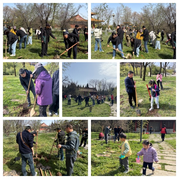 西安公司开展“种下一片竹,守护大熊猫” 主题义务植树活动